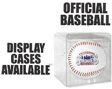 official baseball case